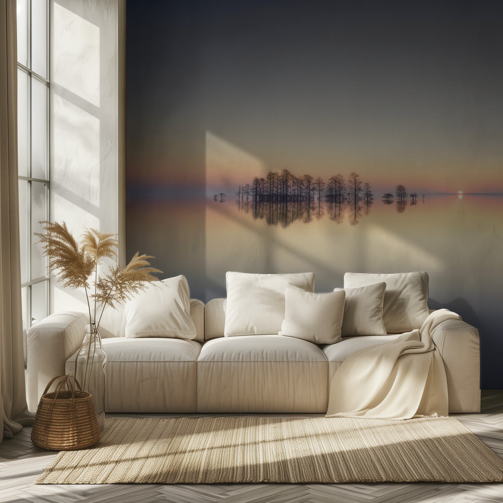 Mattamuskeet-järven muisto | Valokuvatapetit