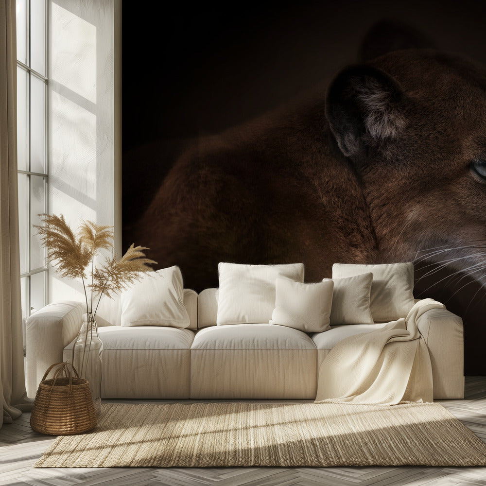 Puuma | Valokuvatapetit