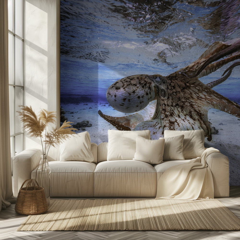 Pulpo bailando | Papel Pintado Fotográfico