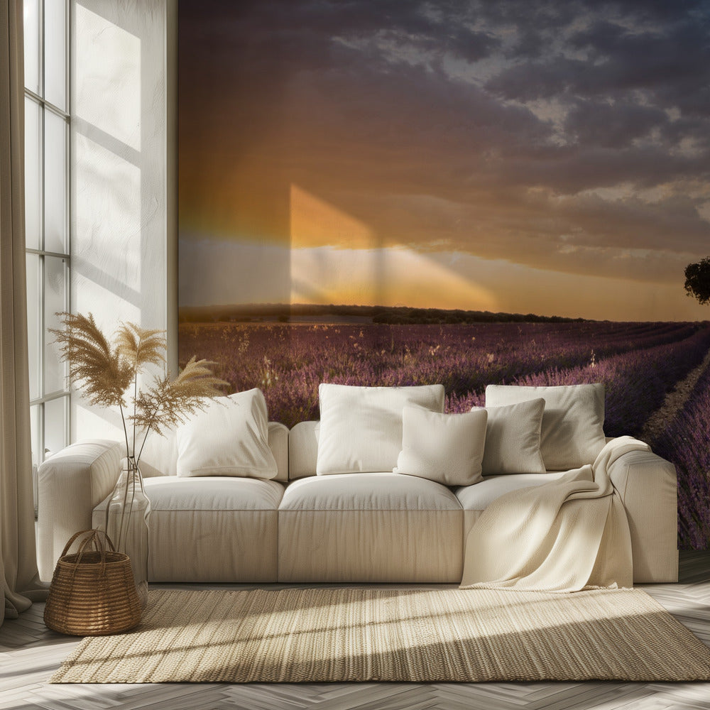 DESTINO LAVANDA | Papel Pintado Fotográfico