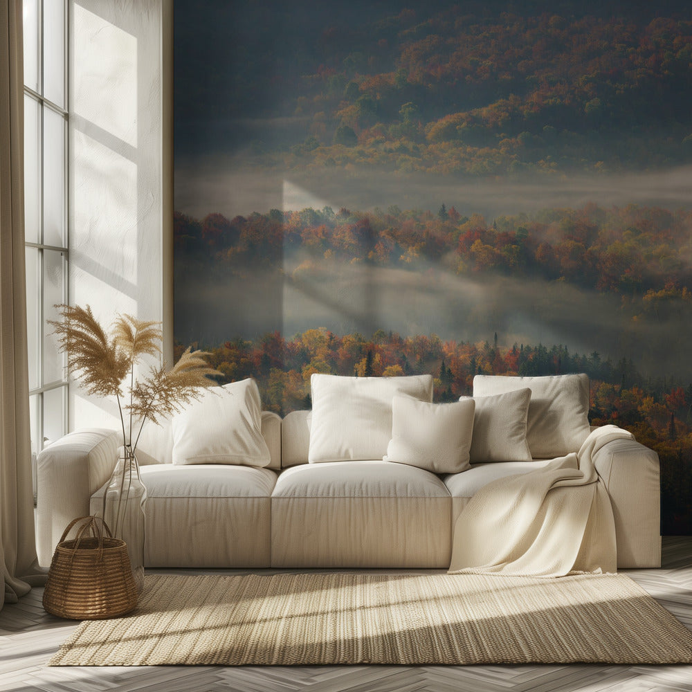 Mattina nebbiosa | Carta da Parati Fotografica