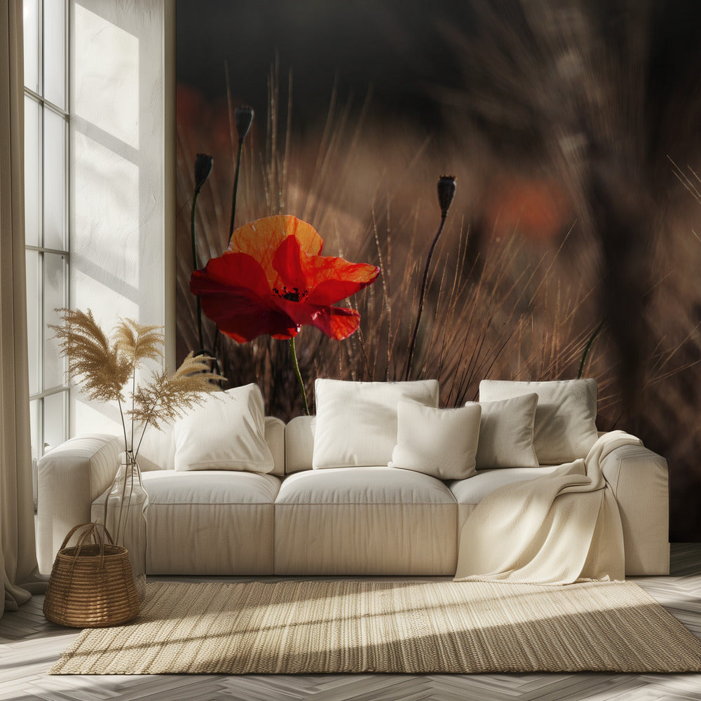 Amapola con maíz | Papel Pintado Fotográfico