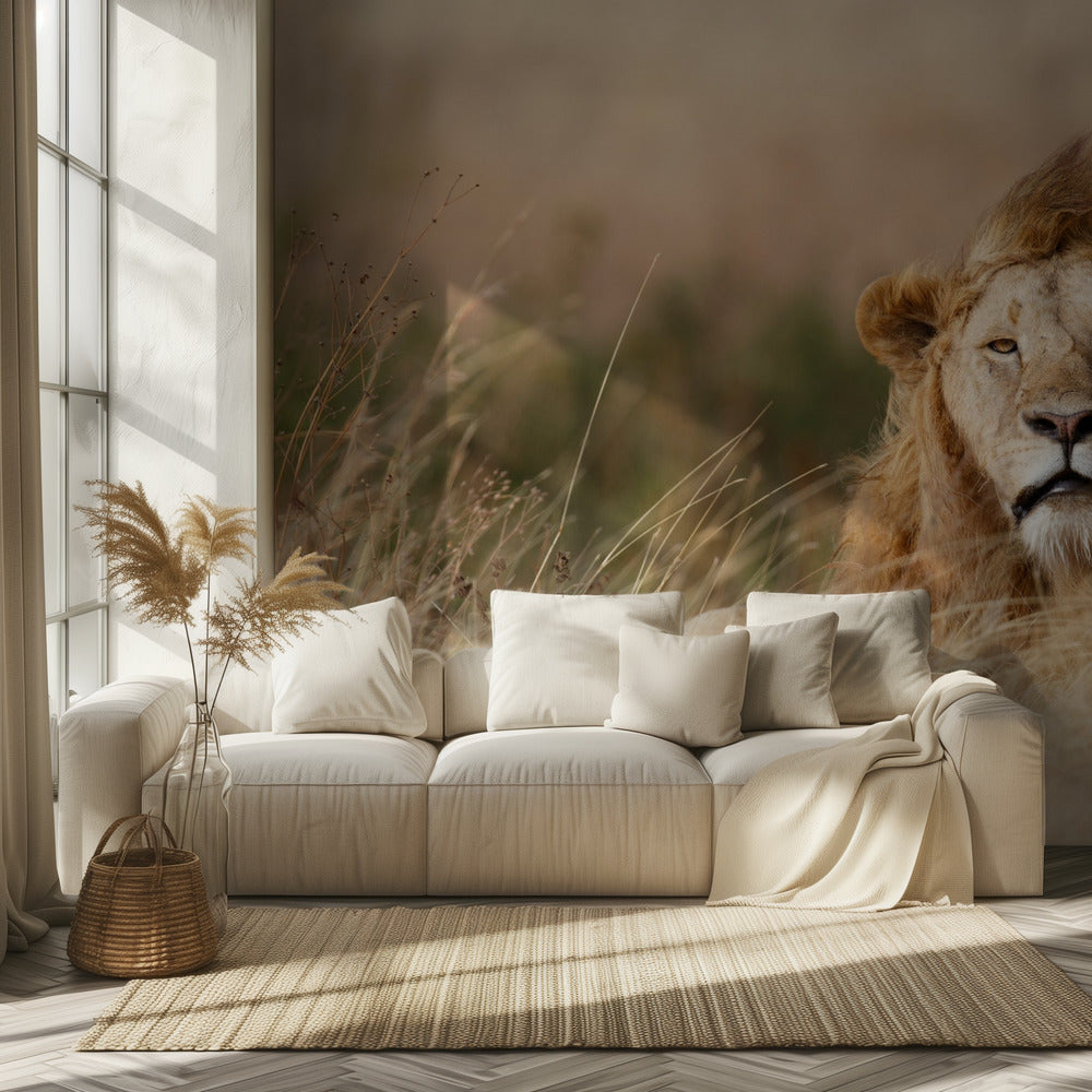 Komea! | Valokuvatapetit