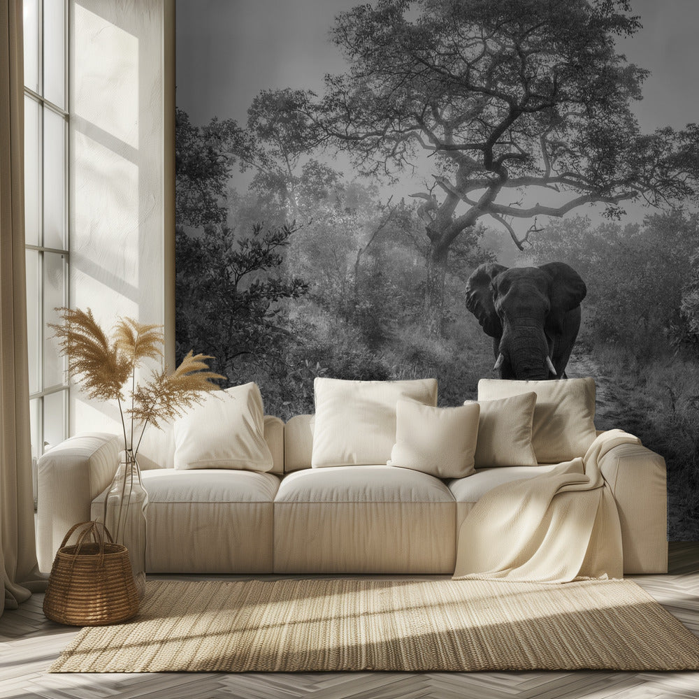 KÄVELEVÄ JÄTTILÄINEN | Valokuvatapetit