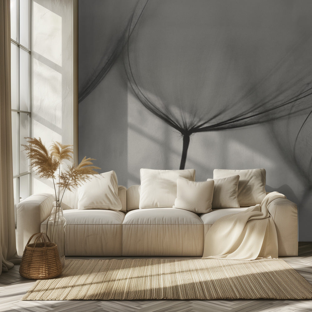 Tragopogon | Papel Pintado Fotográfico