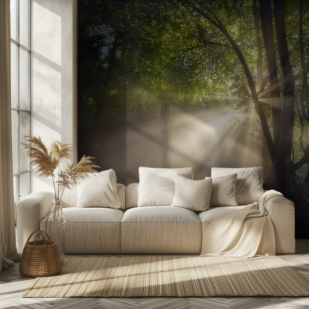 Poranne światło | Fototapeta