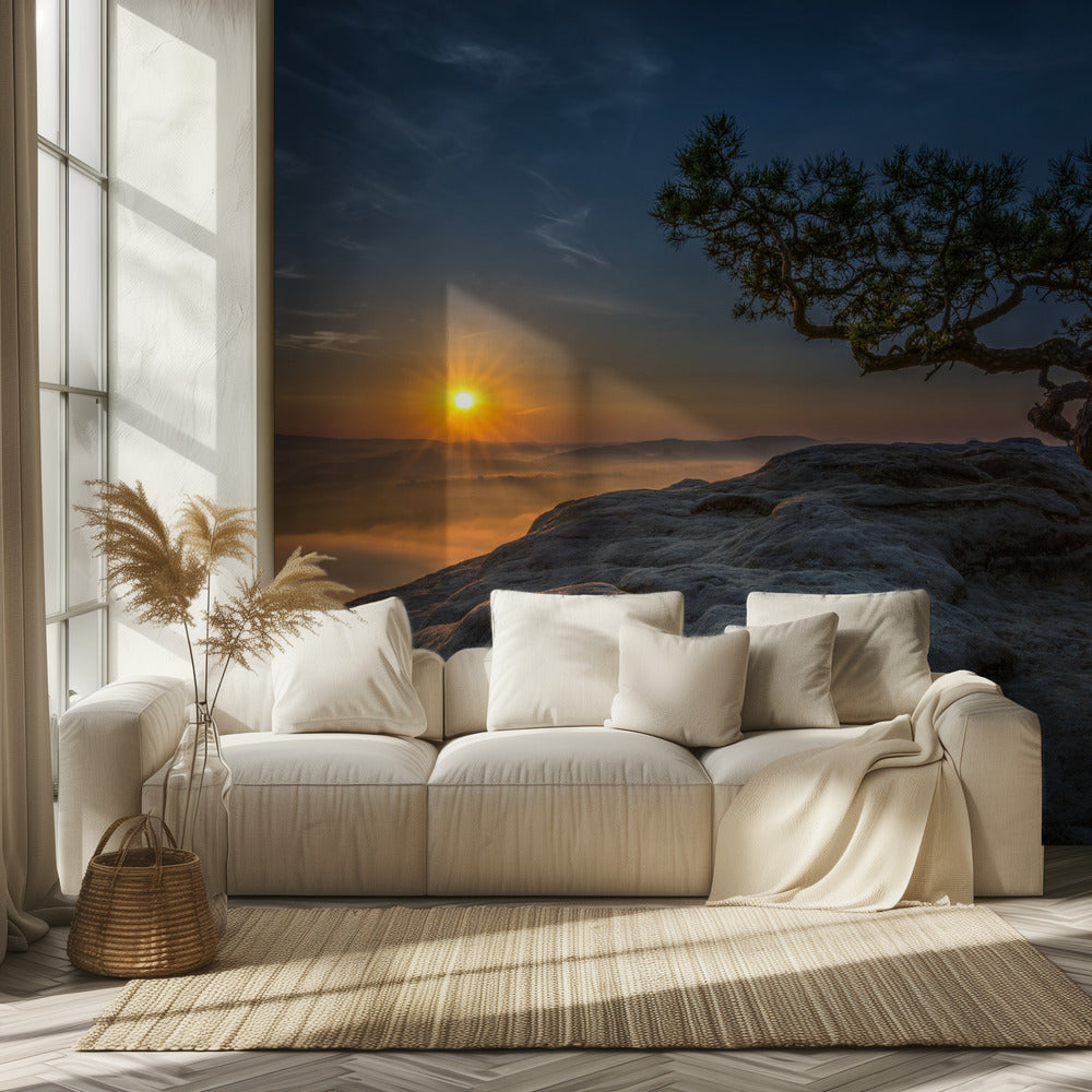 Pino vecchio | Carta da Parati Fotografica