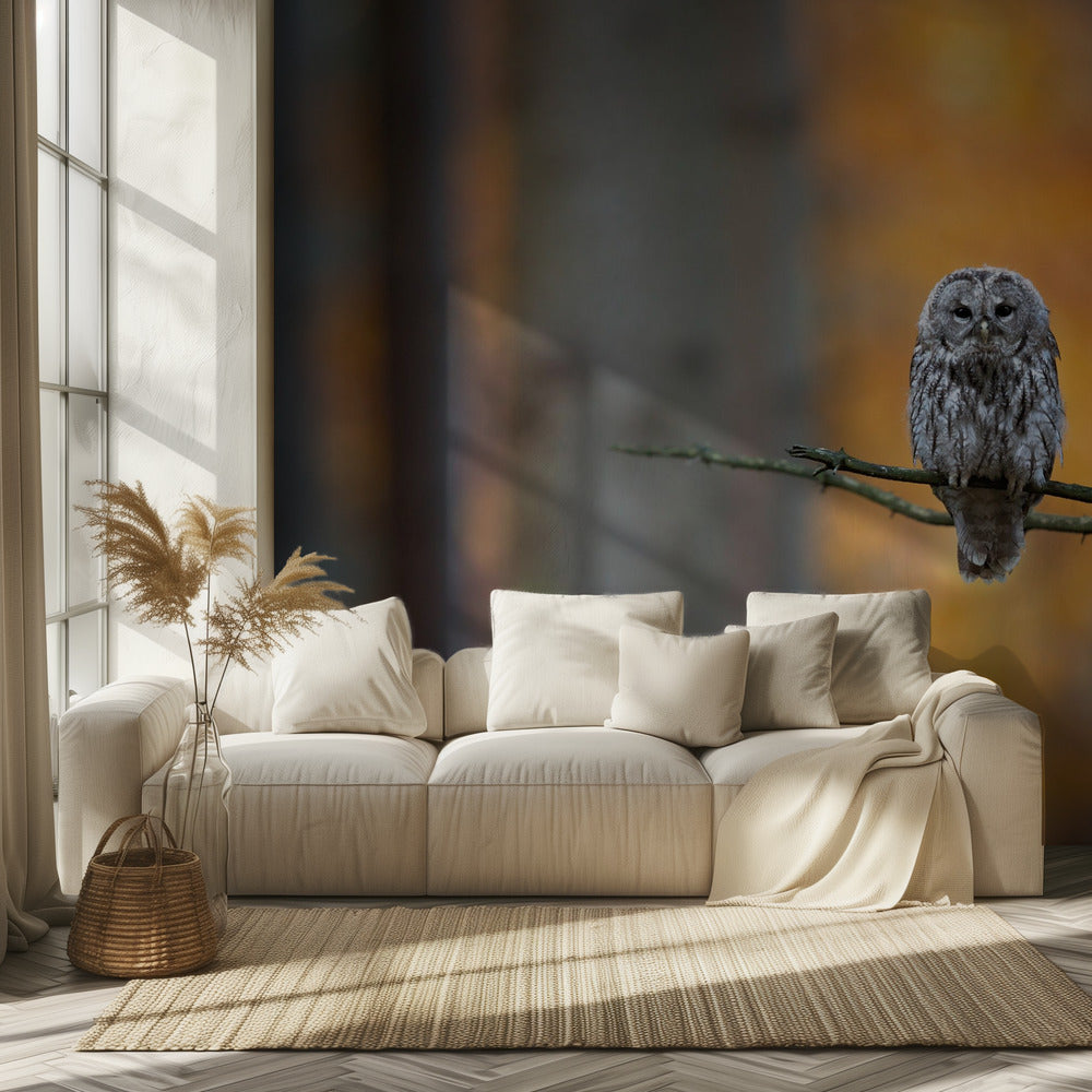 Búho leonado Papel Pintado Fotográfico