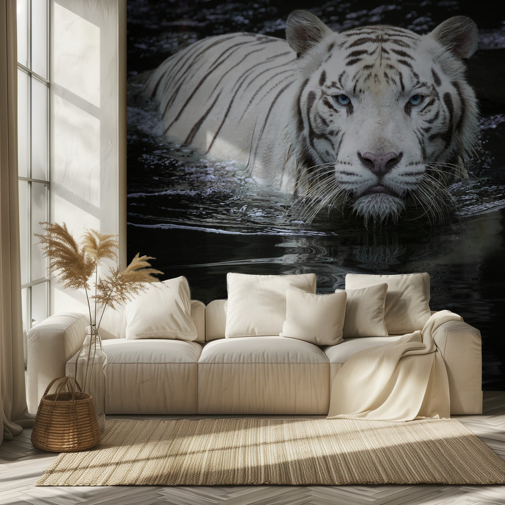 Katson minua Katson sinua | Valokuvatapetit