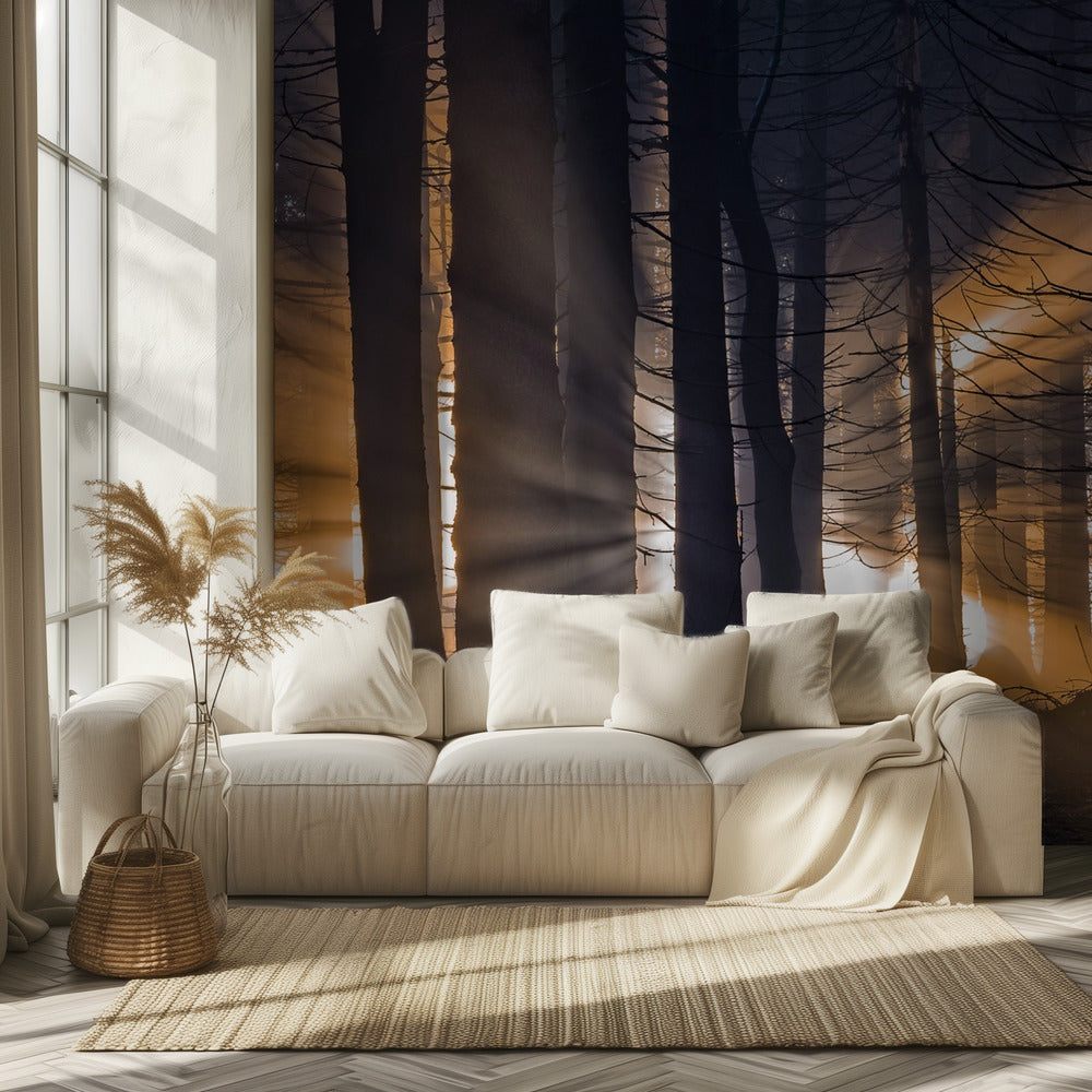 Metsä | Valokuvatapetit