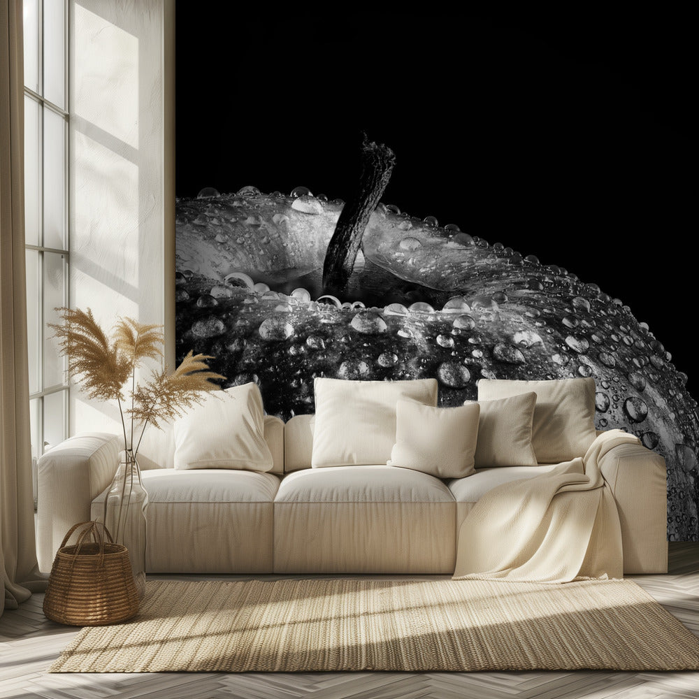 puhelu | Valokuvatapetit