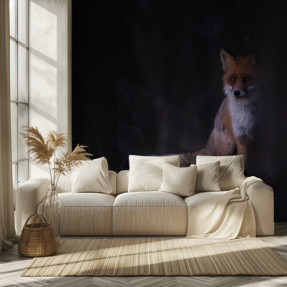 Miradas | Papel Pintado Fotográfico