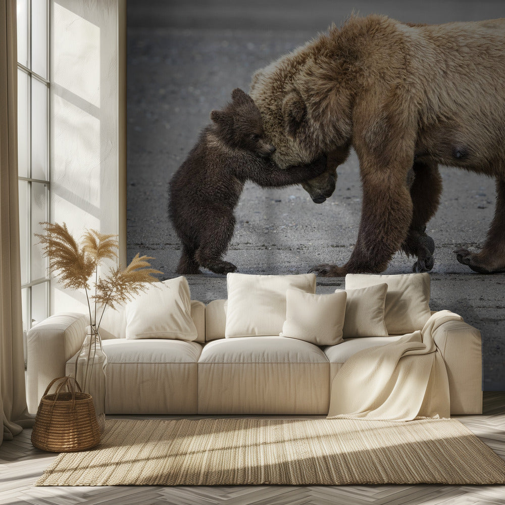 Un pequeño abrazo de oso | Papel Pintado Fotográfico