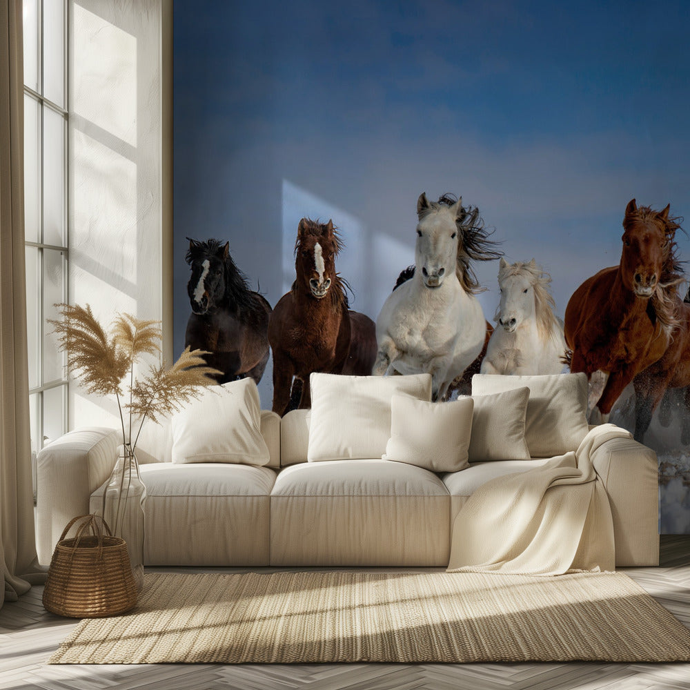 Mongolian hevoset | Valokuvatapetit