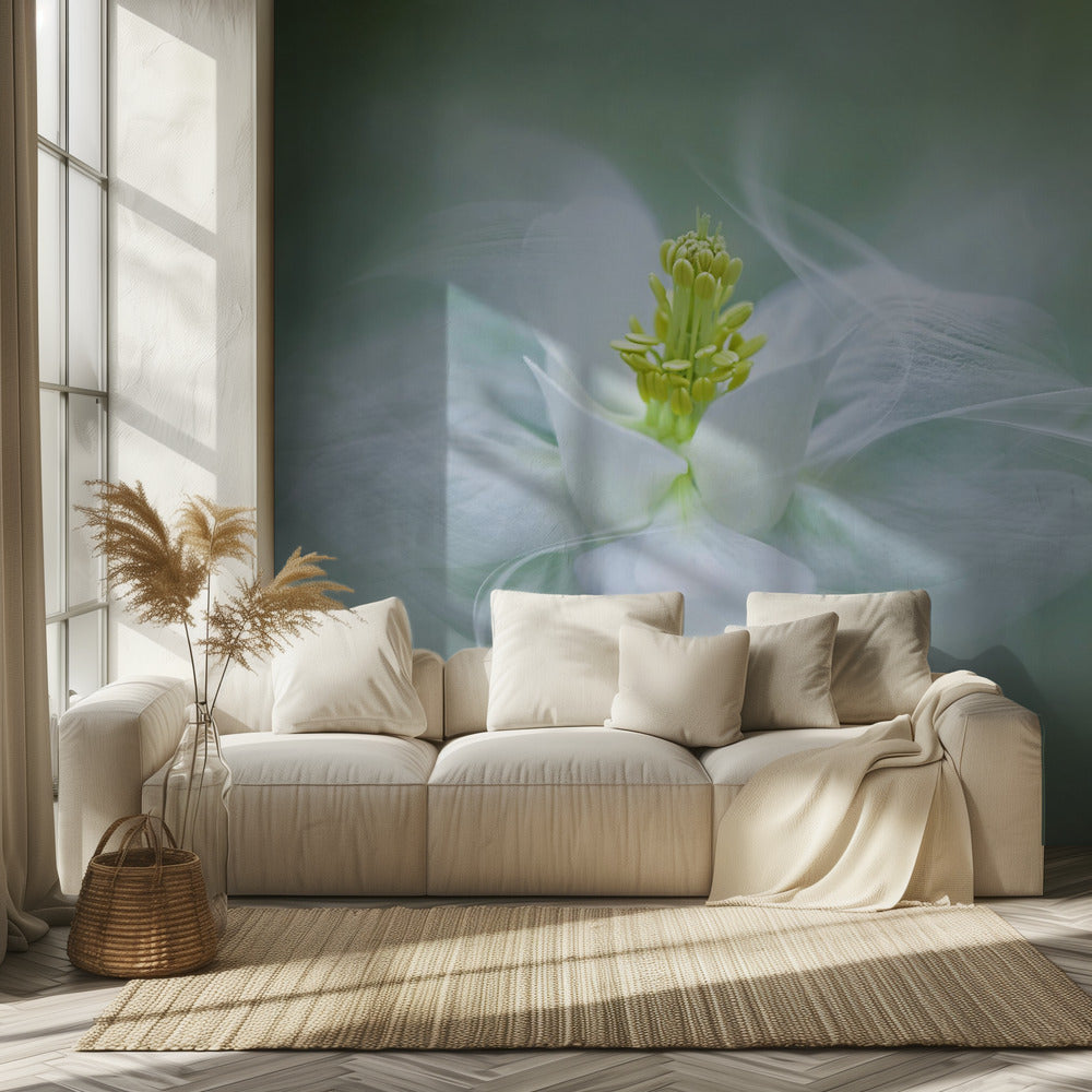 Místico | Papel Pintado Fotográfico