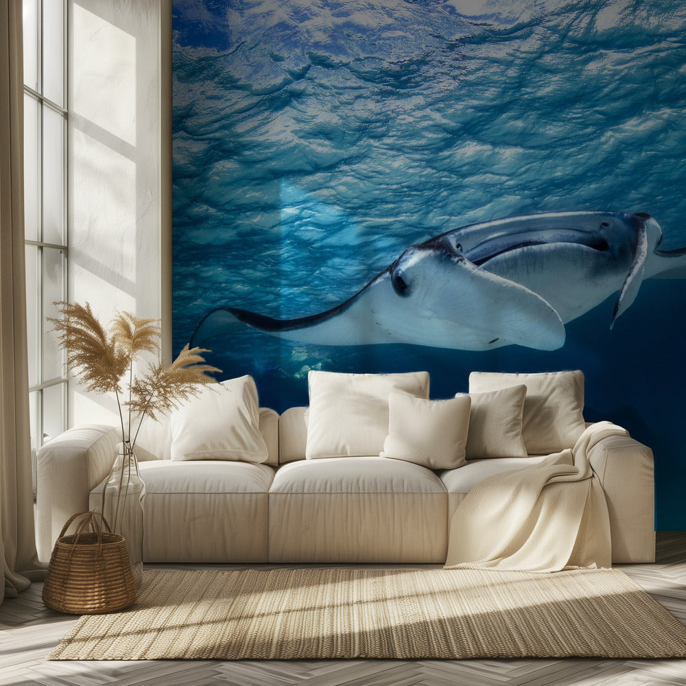 Peitot | Valokuvatapetit