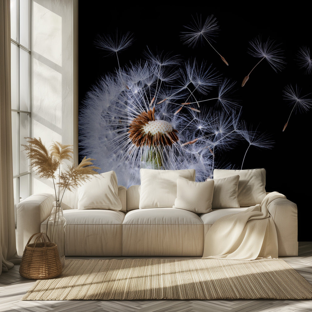 Diente de león soplando | Papel Pintado Fotográfico