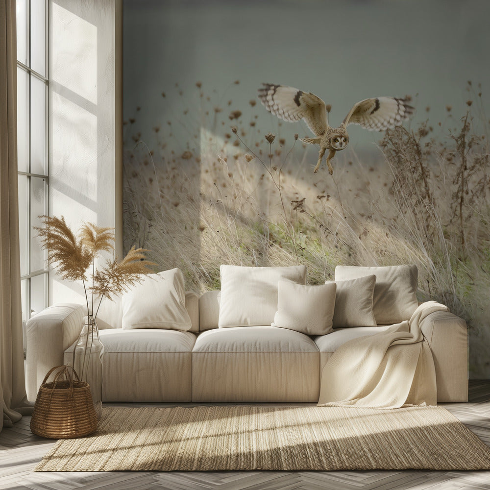 Caza del búho campestre | Papel Pintado Fotográfico