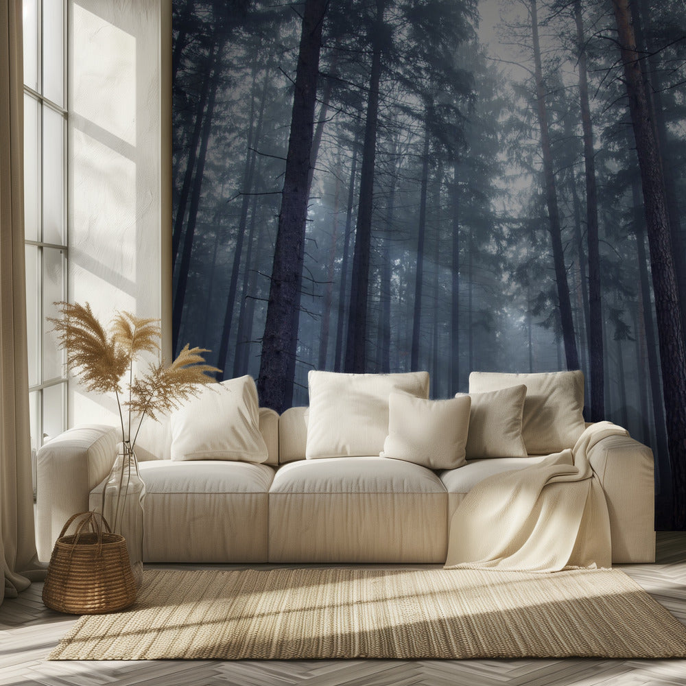 Mystisk tåget skov. Fototapeter