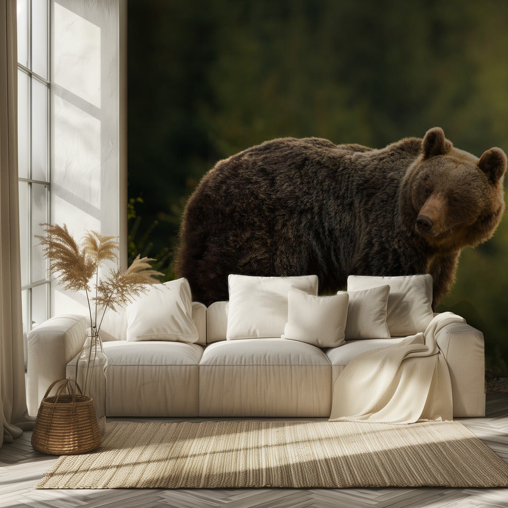 Oso retroiluminado | Papel Pintado Fotográfico