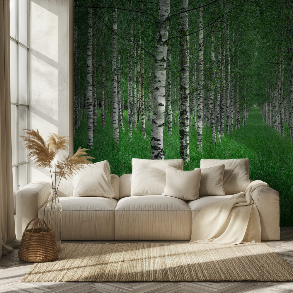 Tunneli | Valokuvatapetit