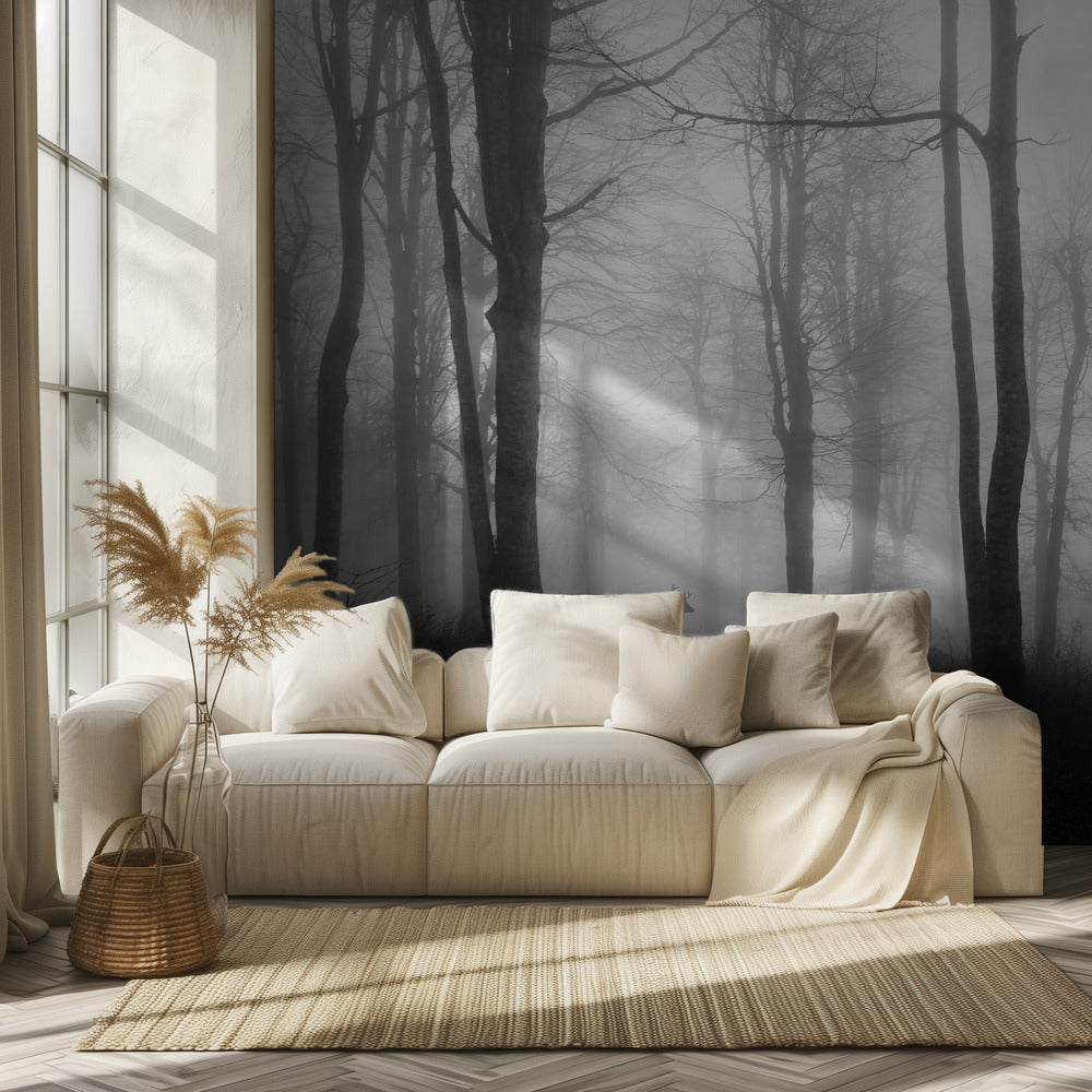 bosque | Papel Pintado Fotográfico