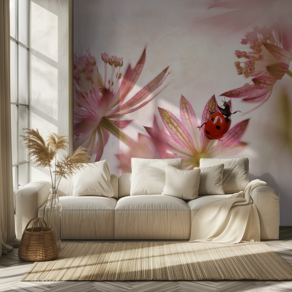Coccinella e fiori rosa | Carta da Parati Fotografica