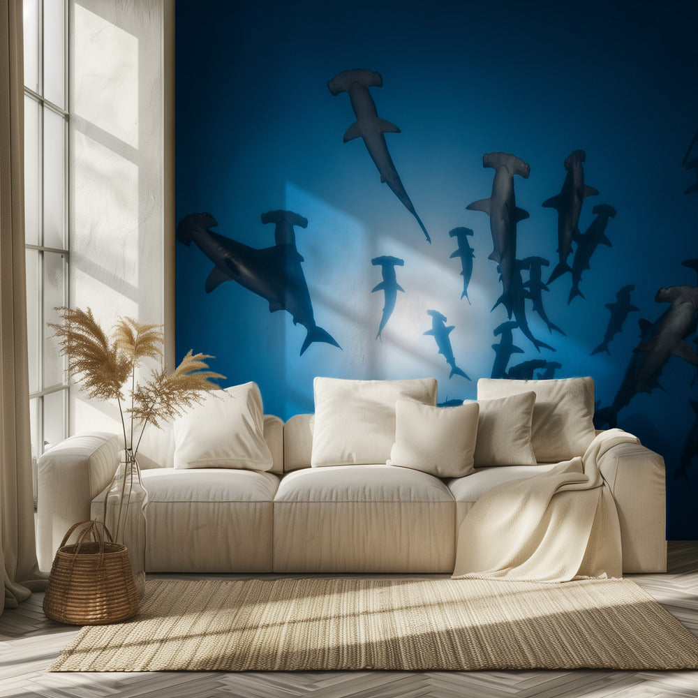 Tiburón martillo - Fotografía submarina | Papel Pintado Fotográfico