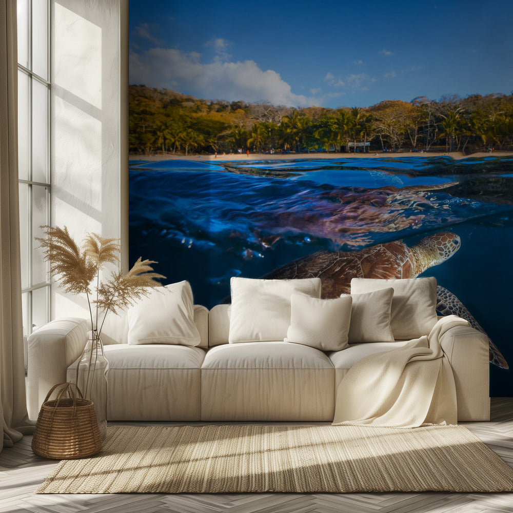 Tortuga Verde - Tortuga Marina | Papel Pintado Fotográfico