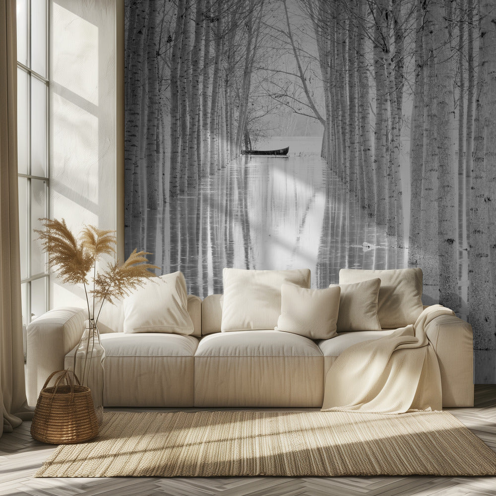 Libre circulación | Papel Pintado Fotográfico