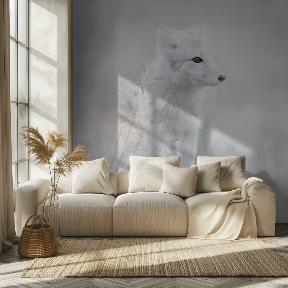 Looking around | Wallpaper