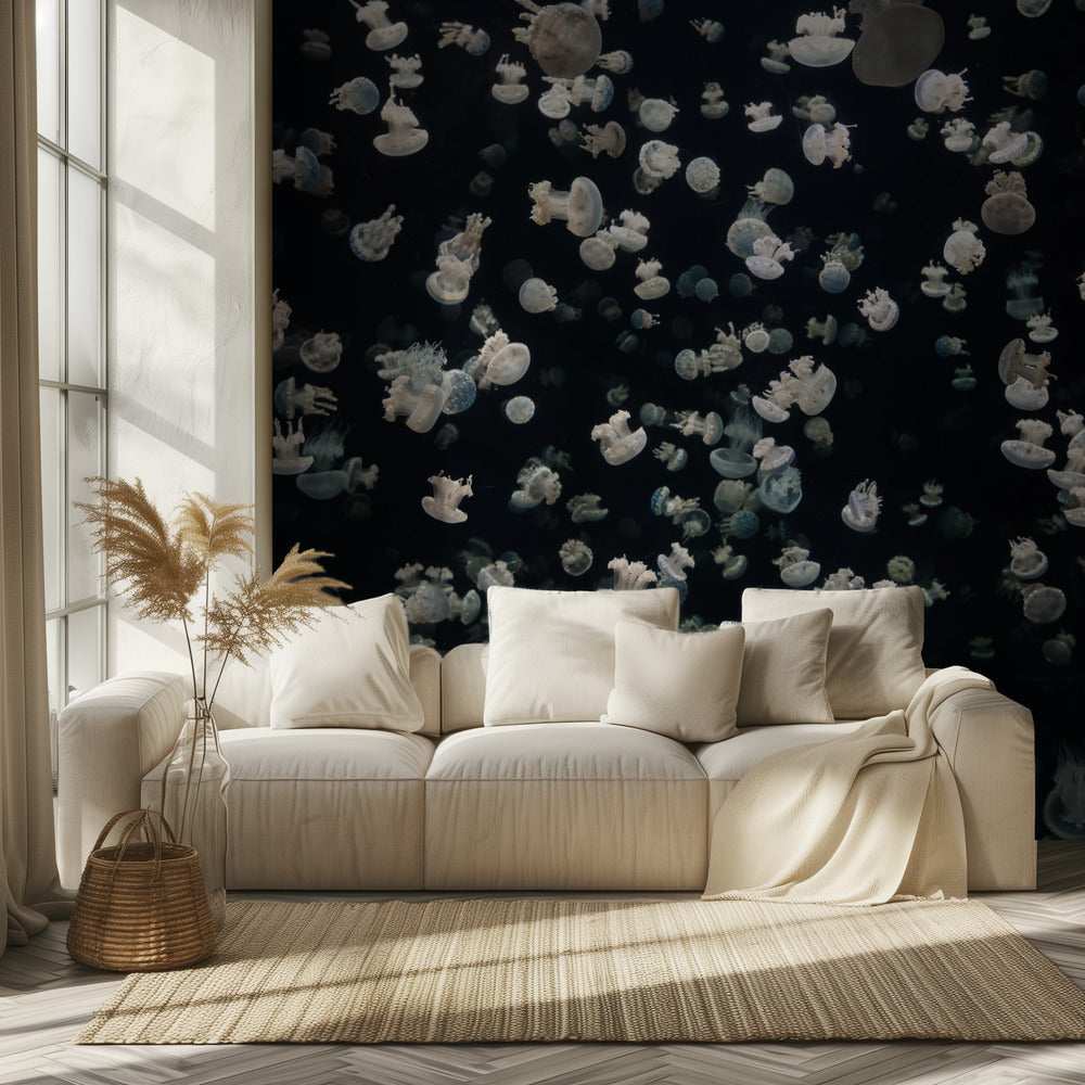 Sólo algunas gelatinas | Papel Pintado Fotográfico