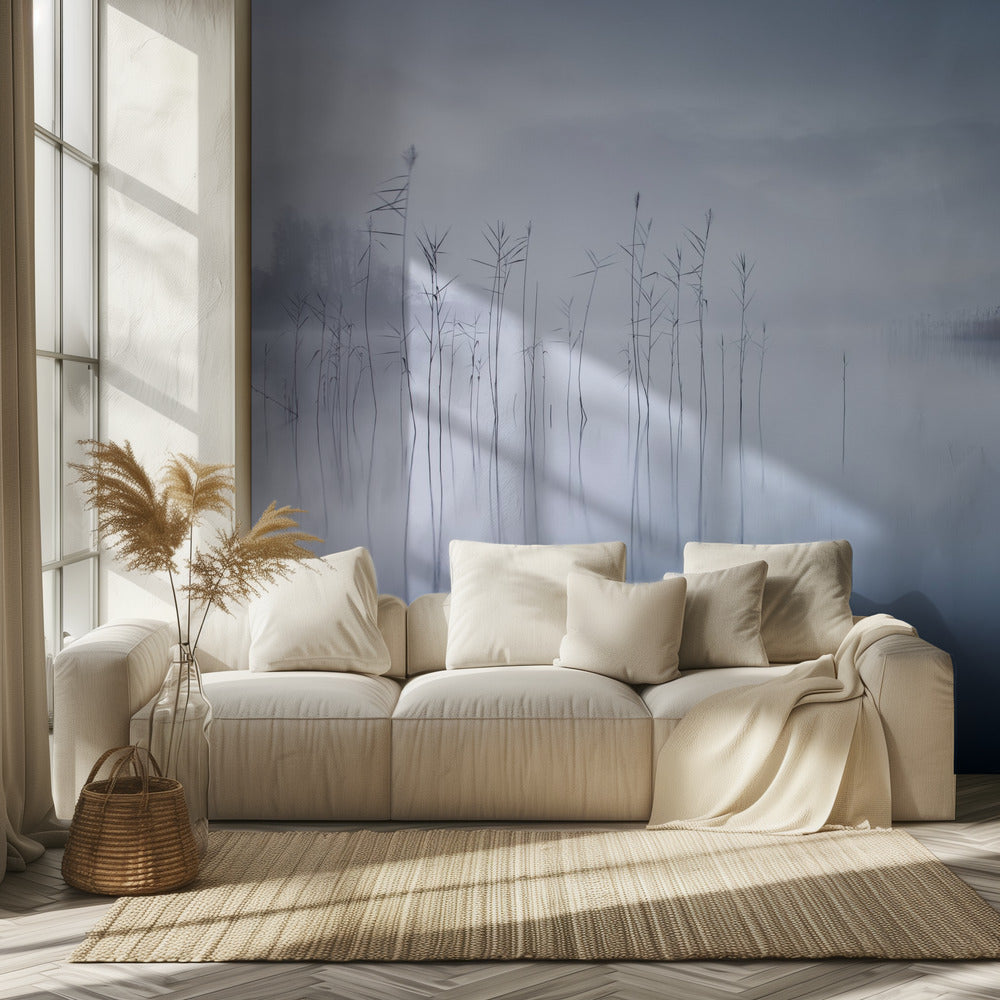 Uden titel | Fototapeter