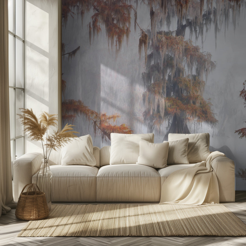 Tajemnicze bagna | Fototapeta