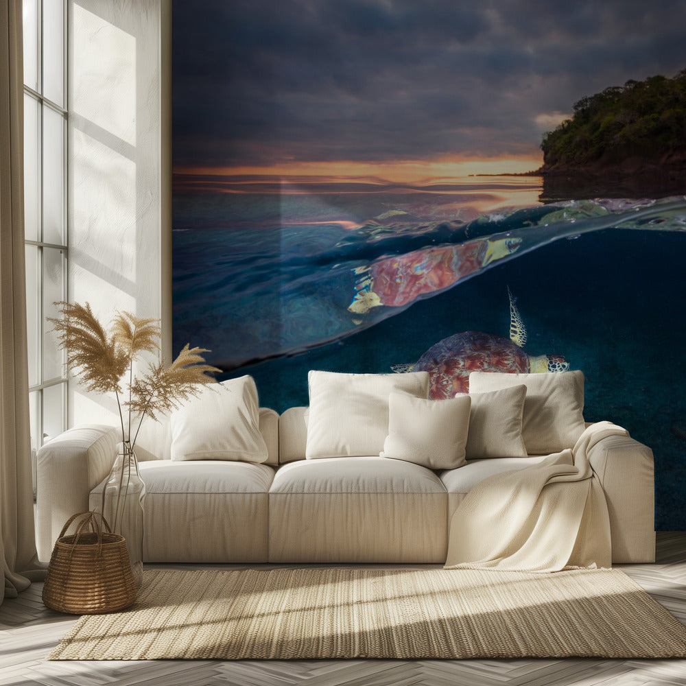 Tortuga verde con puesta de sol | Papel Pintado Fotográfico