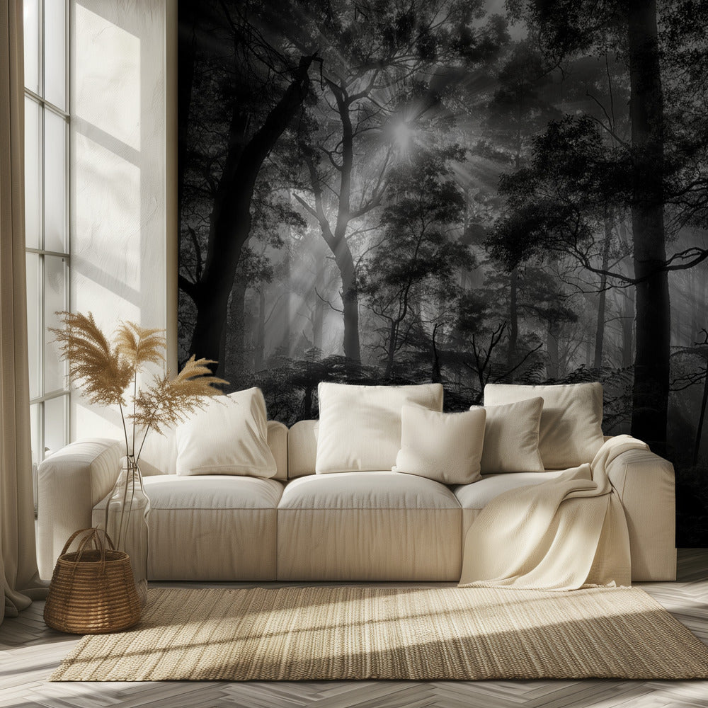 Forêt primaire | Papier Peint Photo