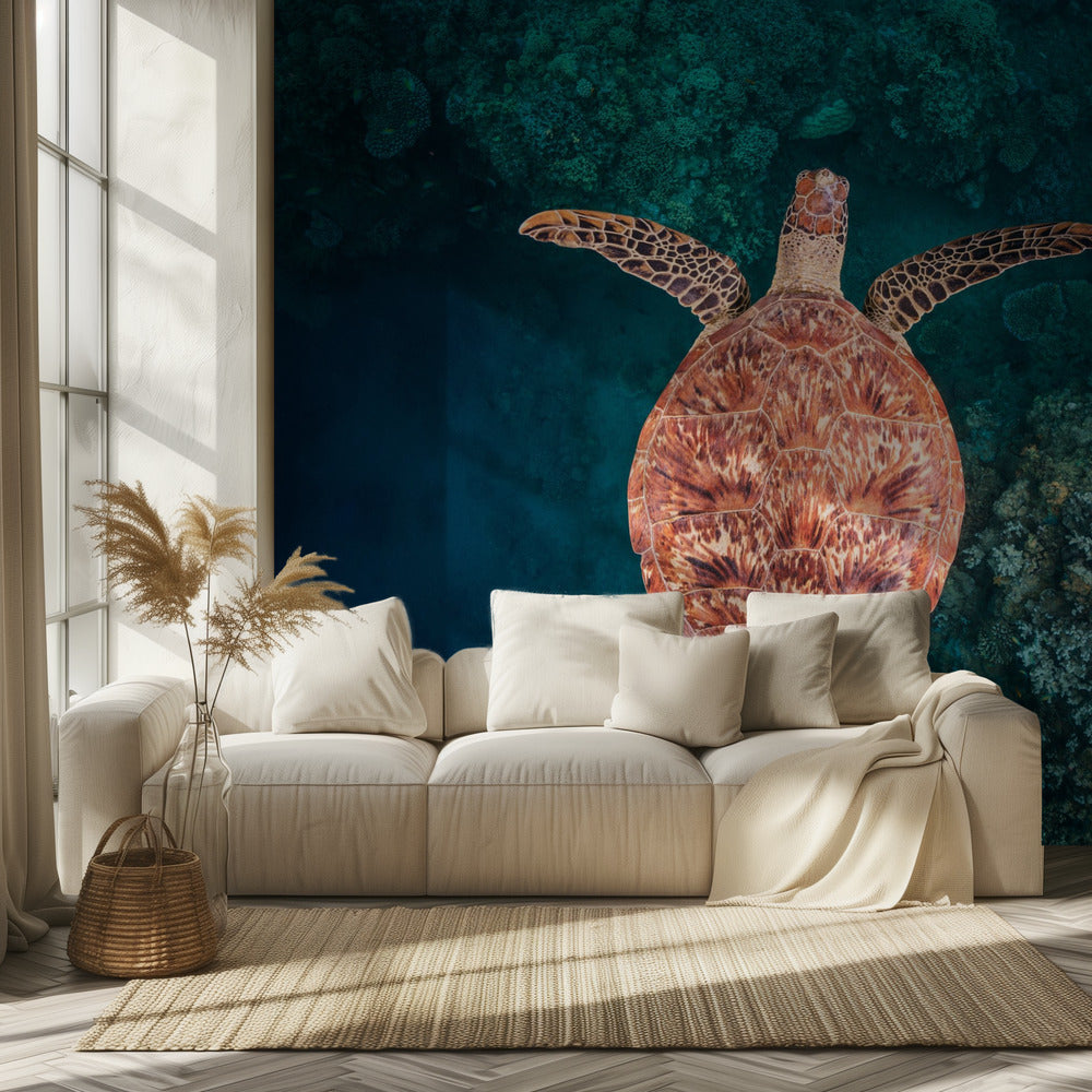 Volando sobre el arrecife | Papel Pintado Fotográfico