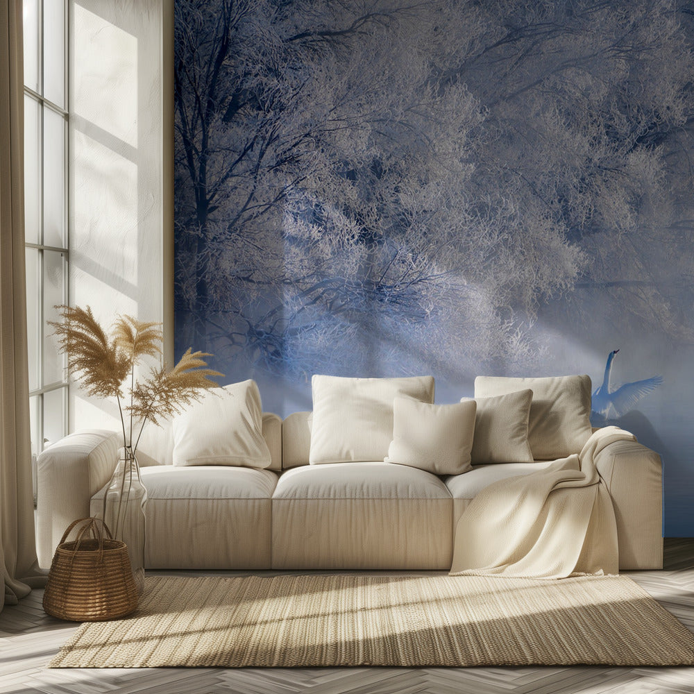 El lago de los cisnes | Papel Pintado Fotográfico