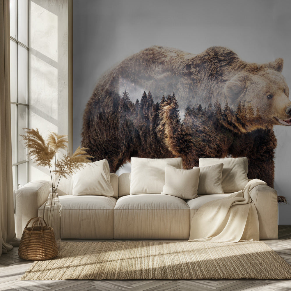 Karhu | Valokuvatapetit