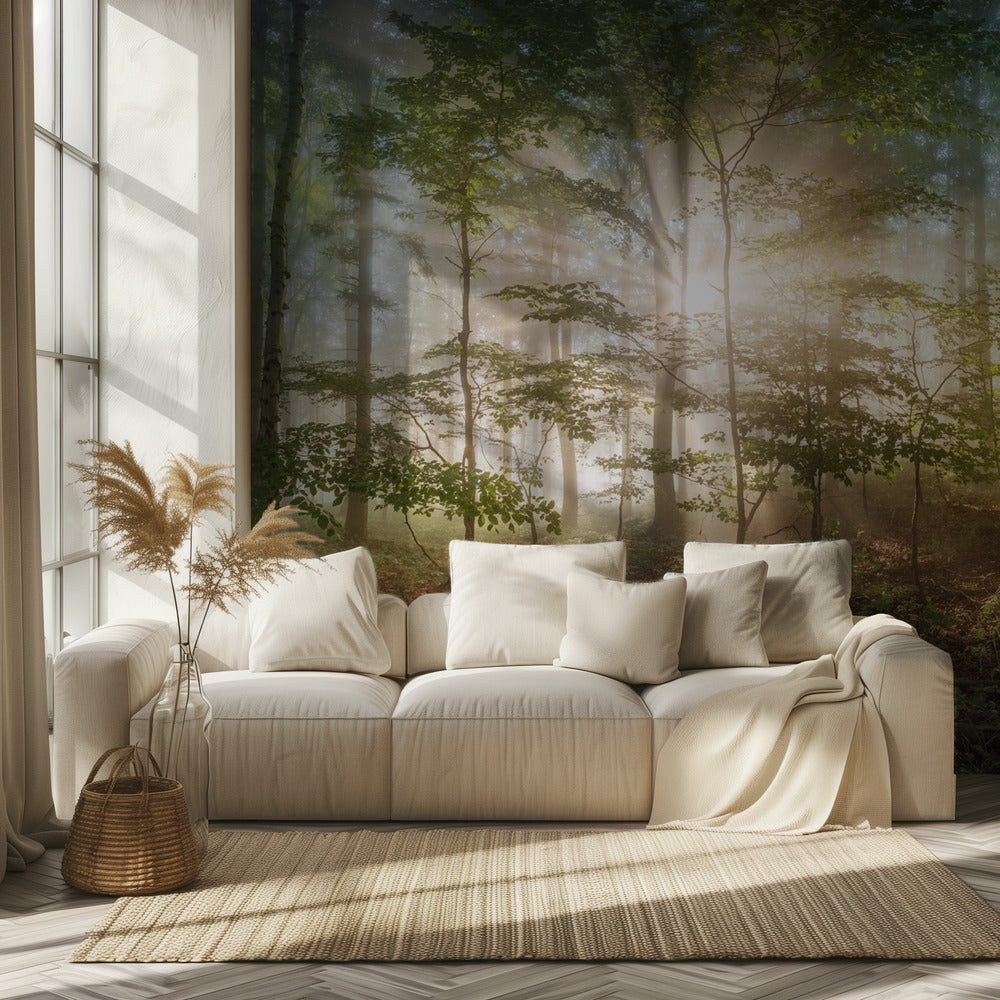 Morgensonne | Fototapeten