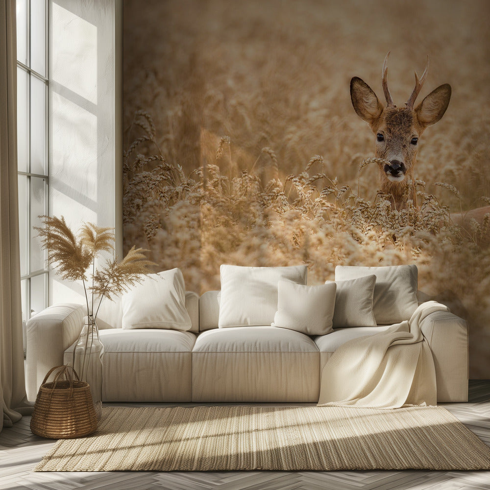 Ciervos en el campo | Papel Pintado Fotográfico