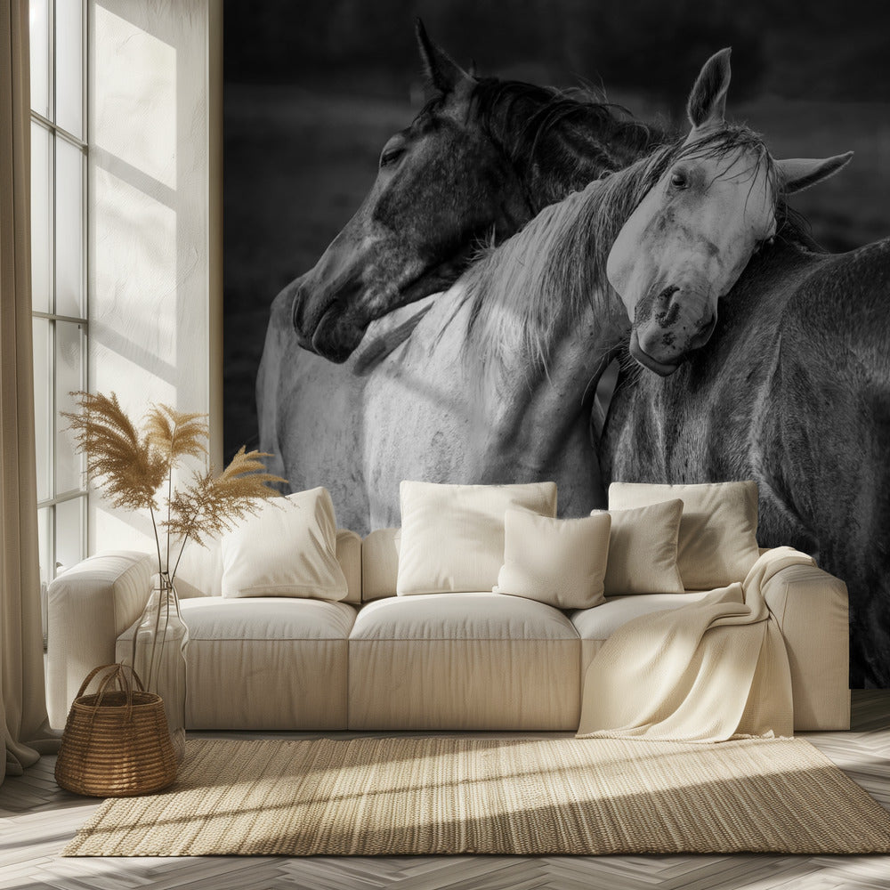 Lämmin sade | Valokuvatapetit