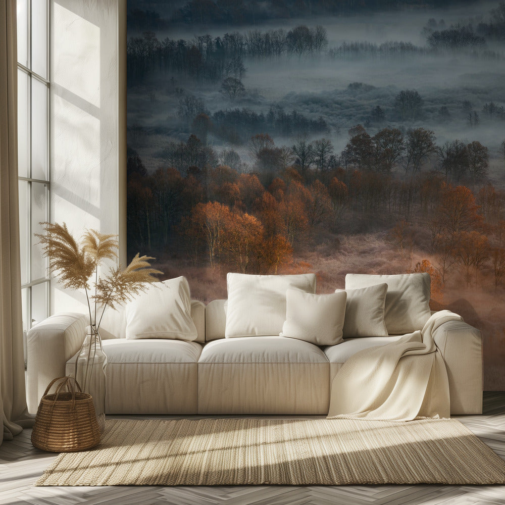 Efterårståget daggry | Fototapeter