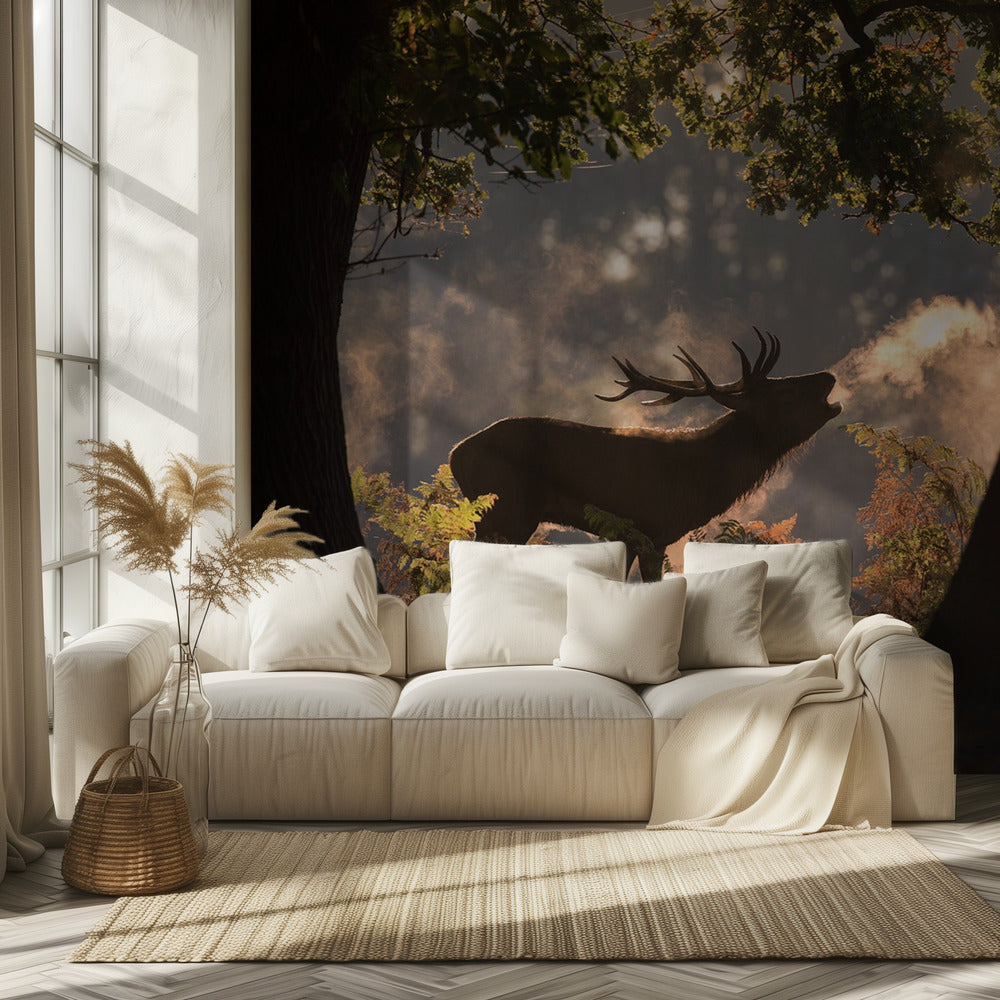 Él espera en las sombras | Papel Pintado Fotográfico