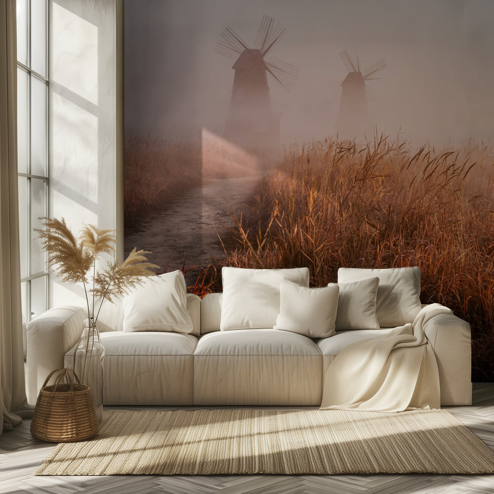 Poranna mgła | Fototapeta