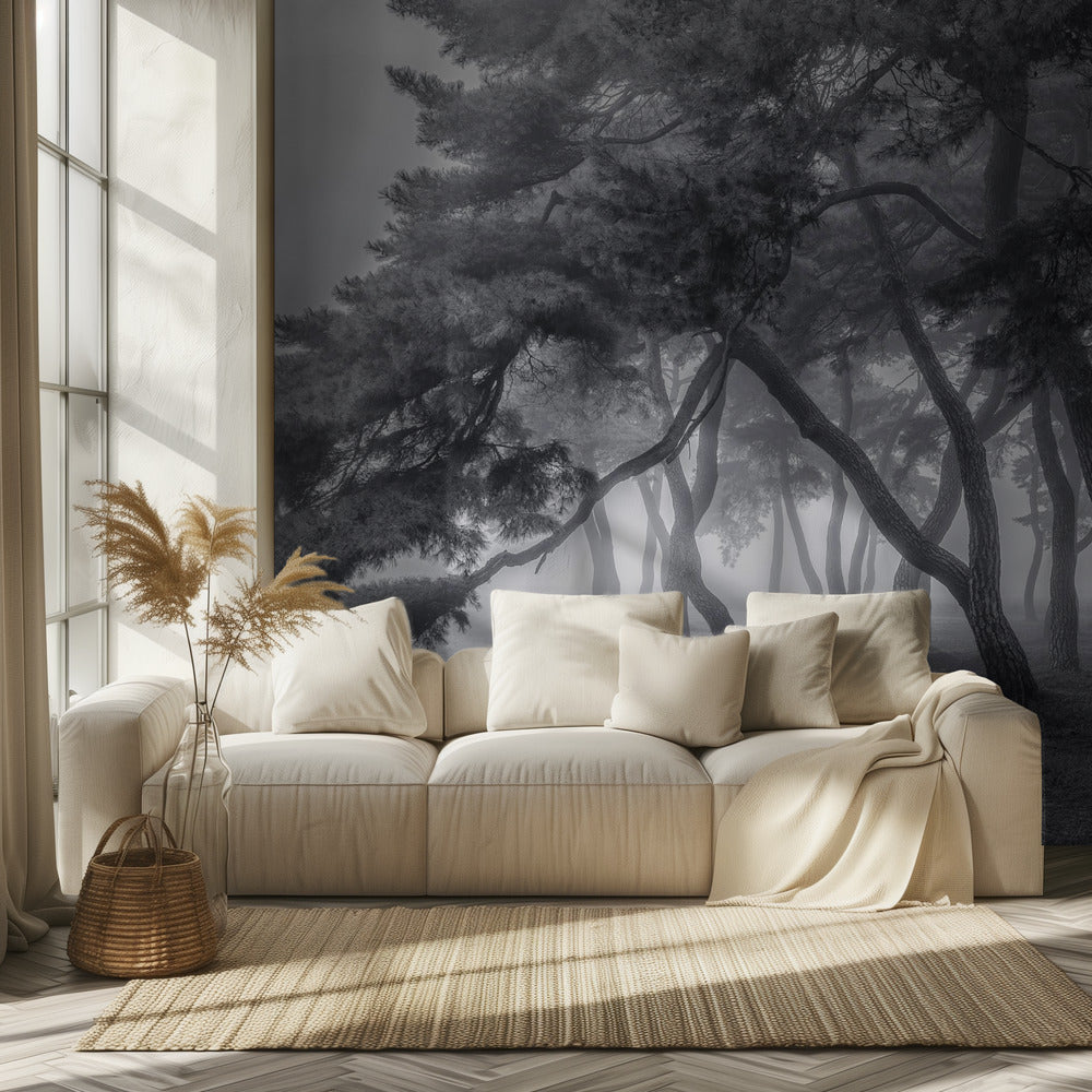 Toujours | Papier Peint Photo