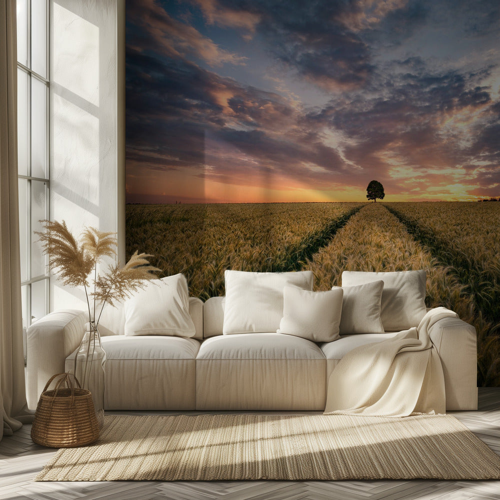 Field of dreams | Wallpaper