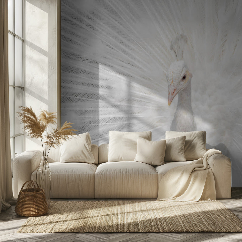 Splendid Whitie | Wallpaper