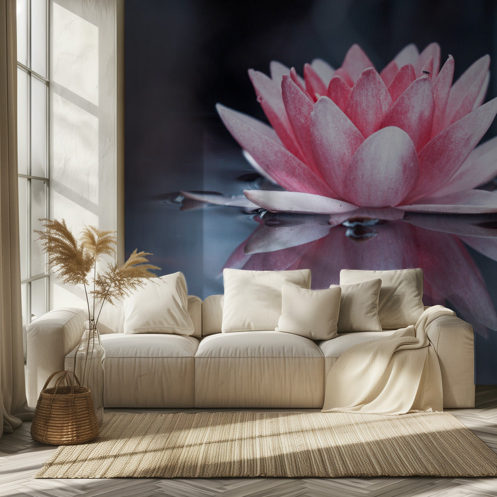 Padmasana | Valokuvatapetit