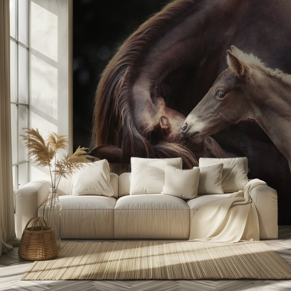 Bond | Valokuvatapetit